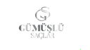 Gümüşlü Saçlar Kuaför logo