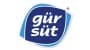 Gürsüt Gıda logo