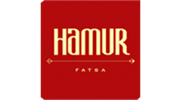 Hamur Pastanesi logo