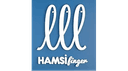Hamsi Finger logo