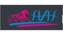 Has Otomotiv logo