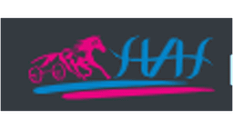 Has Otomotiv logo