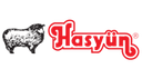 Hasyün Tekstil logo