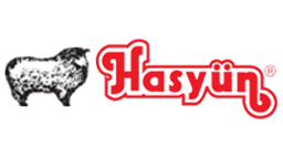 Hasyün Tekstil logo